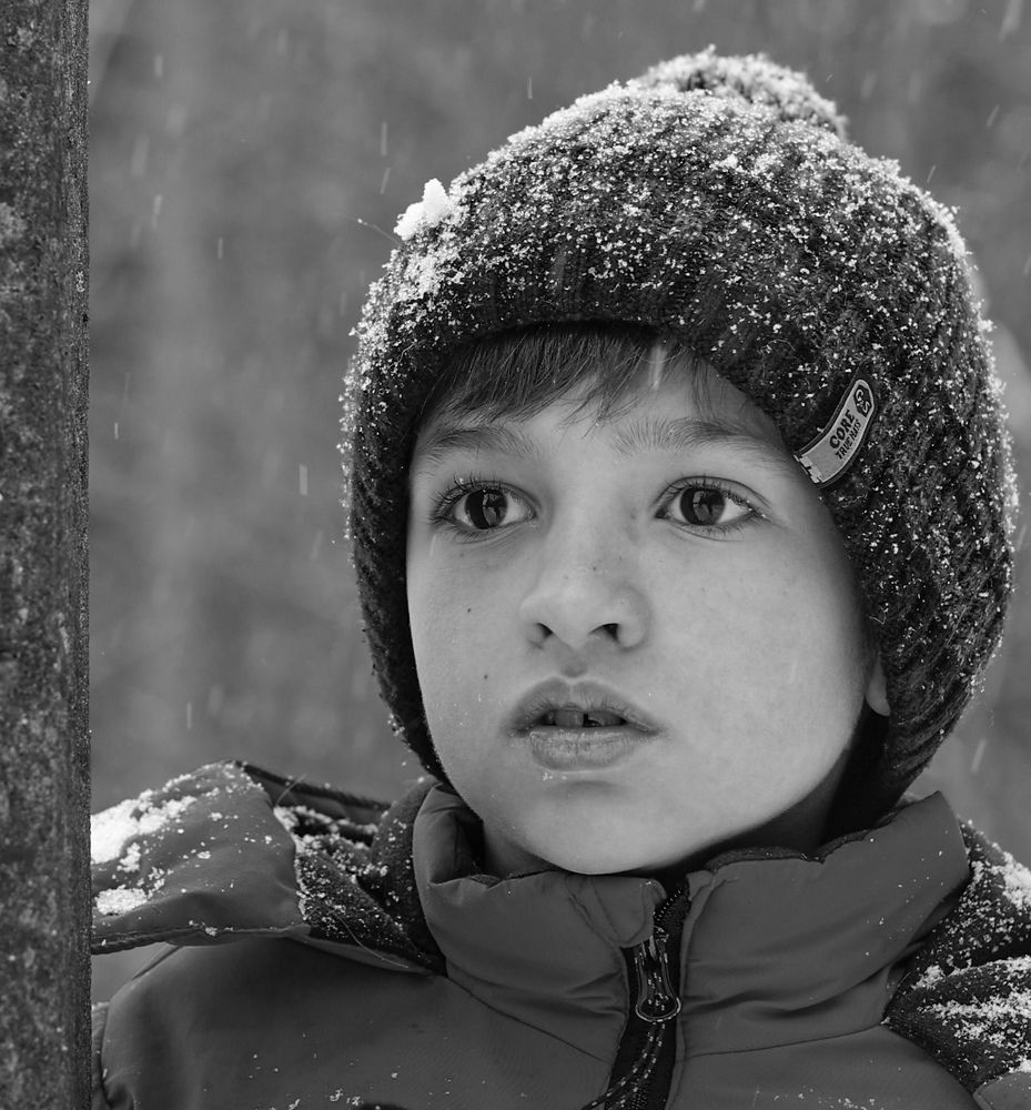 Фотография автора Анна Горохова