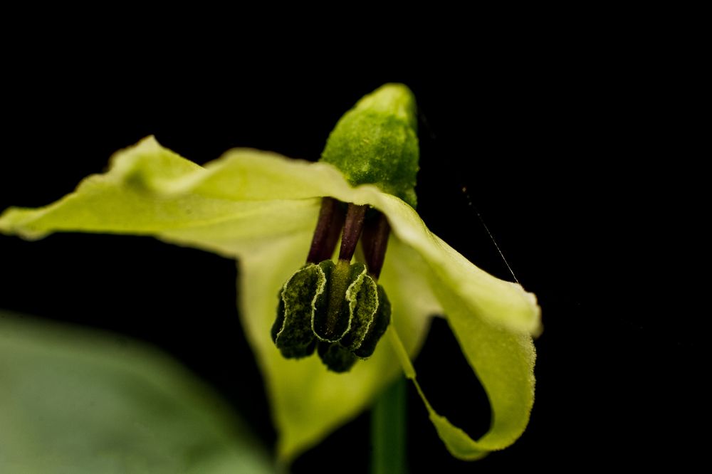 Photograph by Sameera Rathnayaka