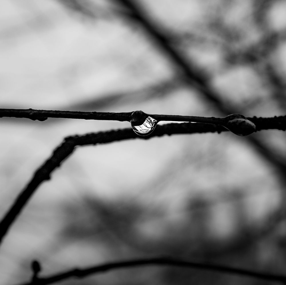 Photograph by Максим Антошкин