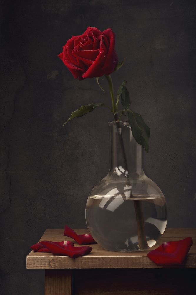 Photograph by Максим Вышарь