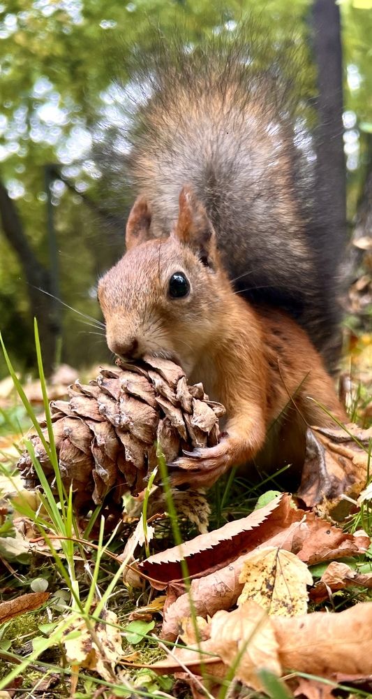 Photograph by Ирина