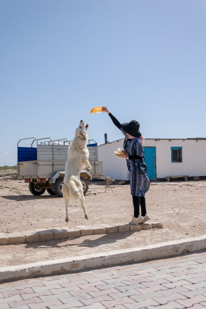 Фотография автора Адам Шаповалов