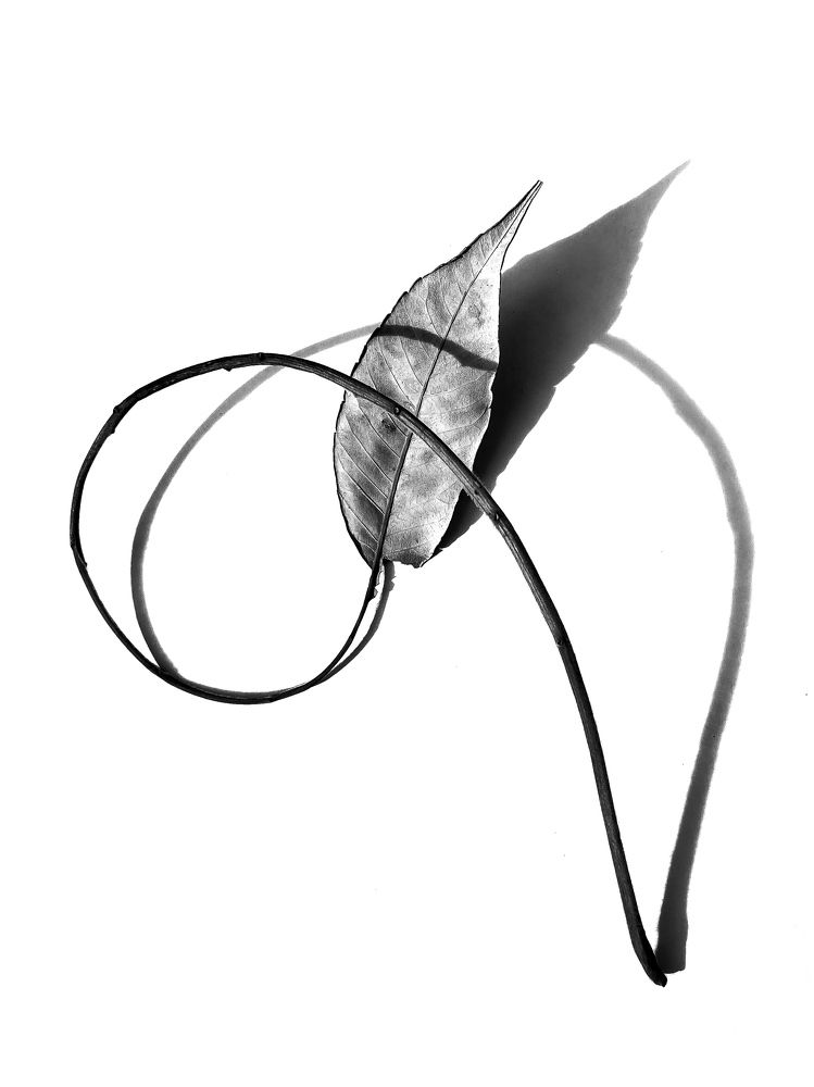 Photograph by Андрей Васильев