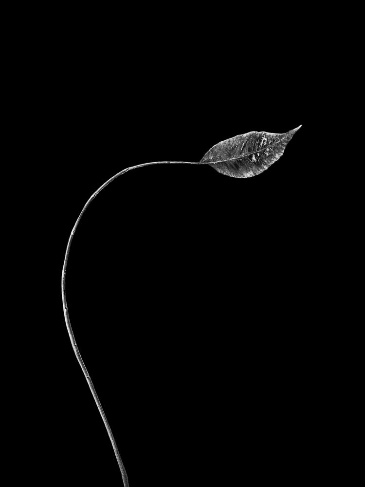 Photograph by Андрей Васильев