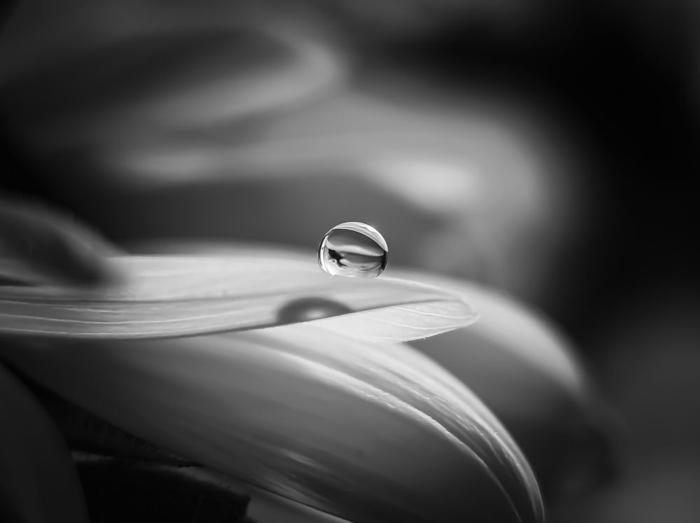 Photograph by NGUYEN LIEN