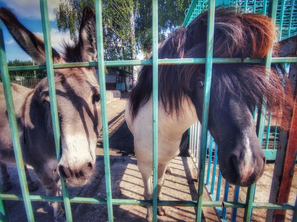 Photograph by Регина Джумалиева