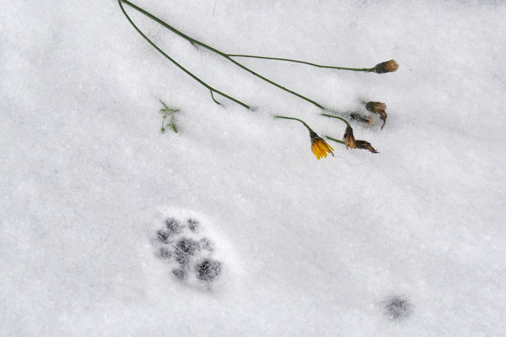 Photograph by Наташа Фишер