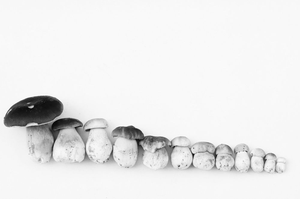 Счастье матери