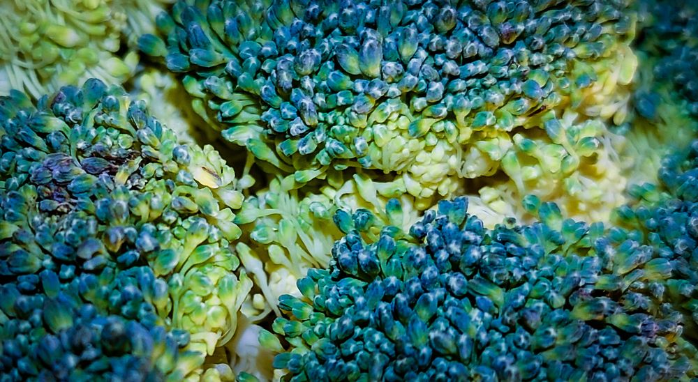 Фотография автора Elena Ku