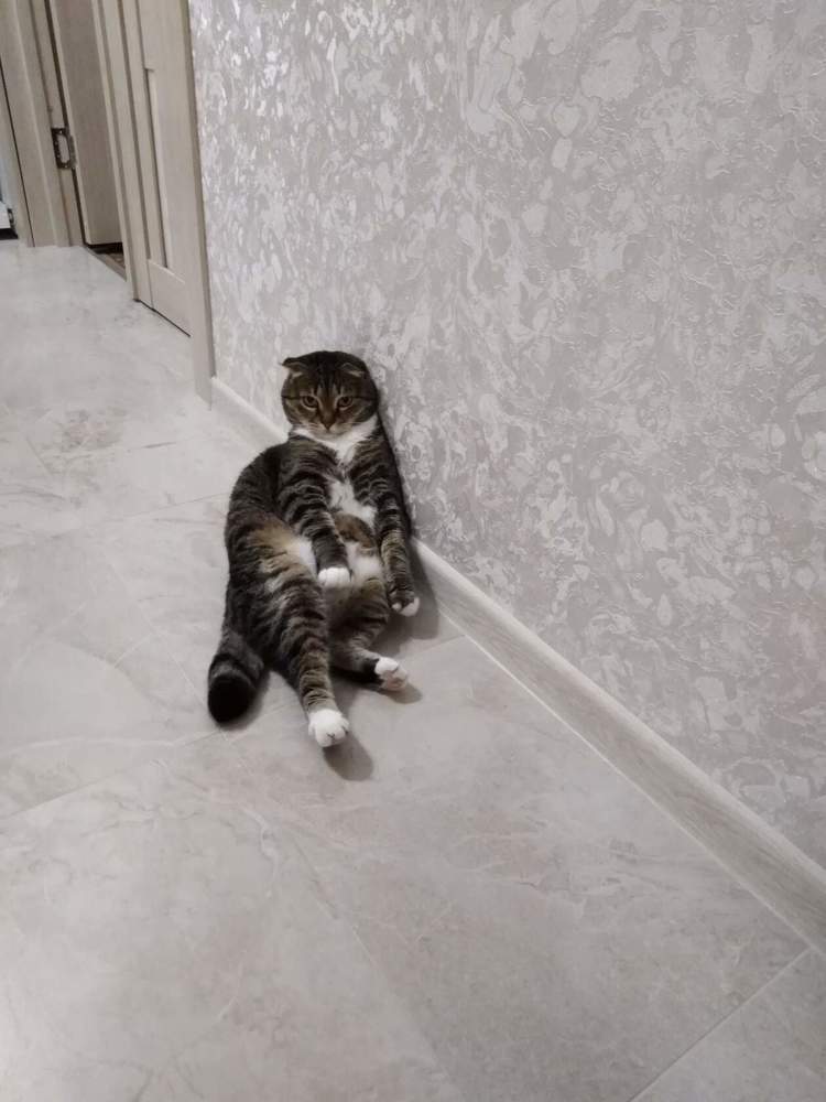 Photograph by Янина Милош