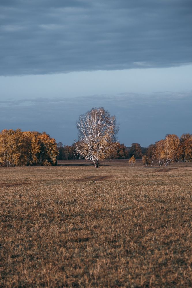 Photograph by Алексей Хасанов