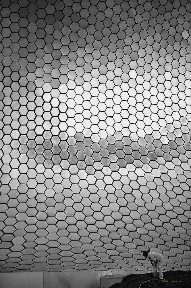 Photograph by Francisco José Tenorio