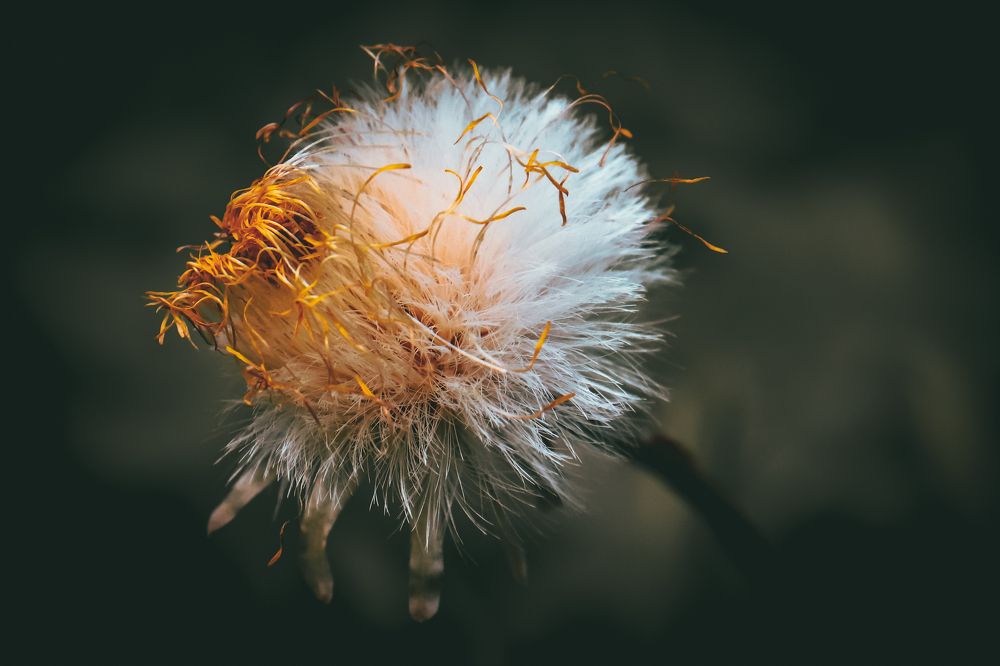 Photograph by Дмитрий Фадеев