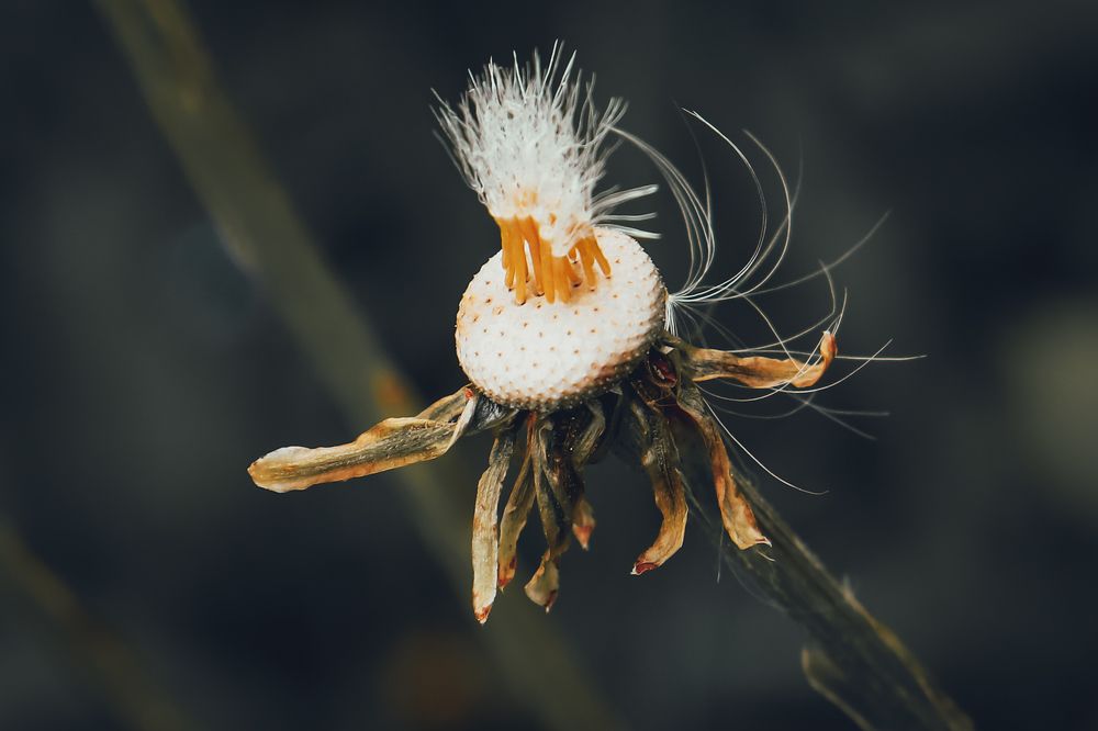 Photograph by Дмитрий Фадеев