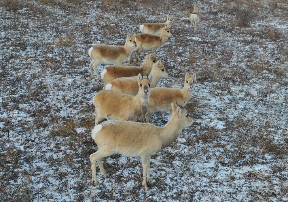 Photograph by Aleksey Maevskiy