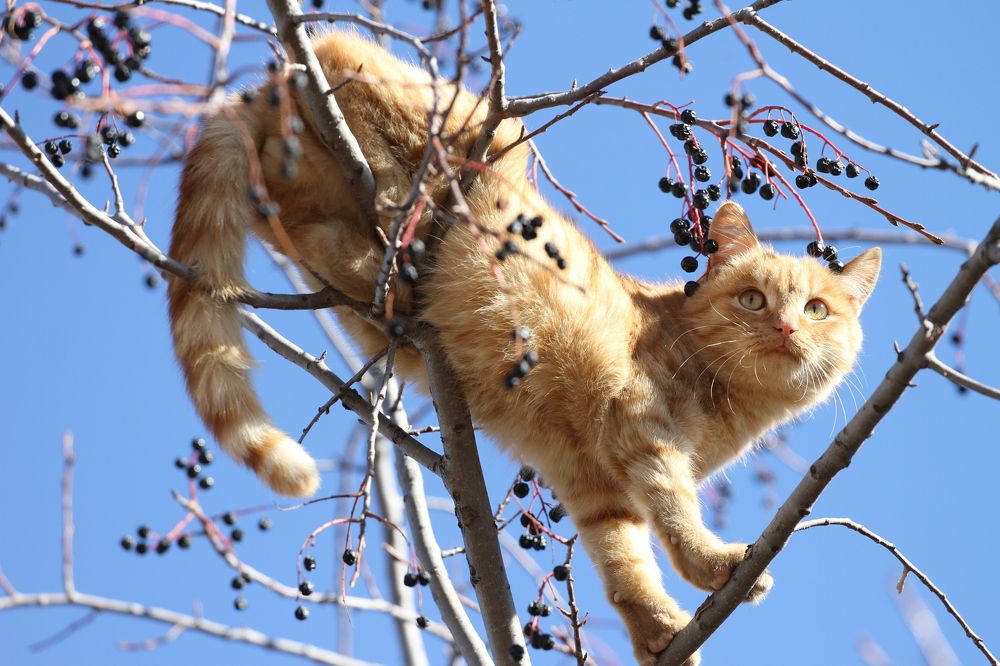 Photograph by Aleksey Maevskiy