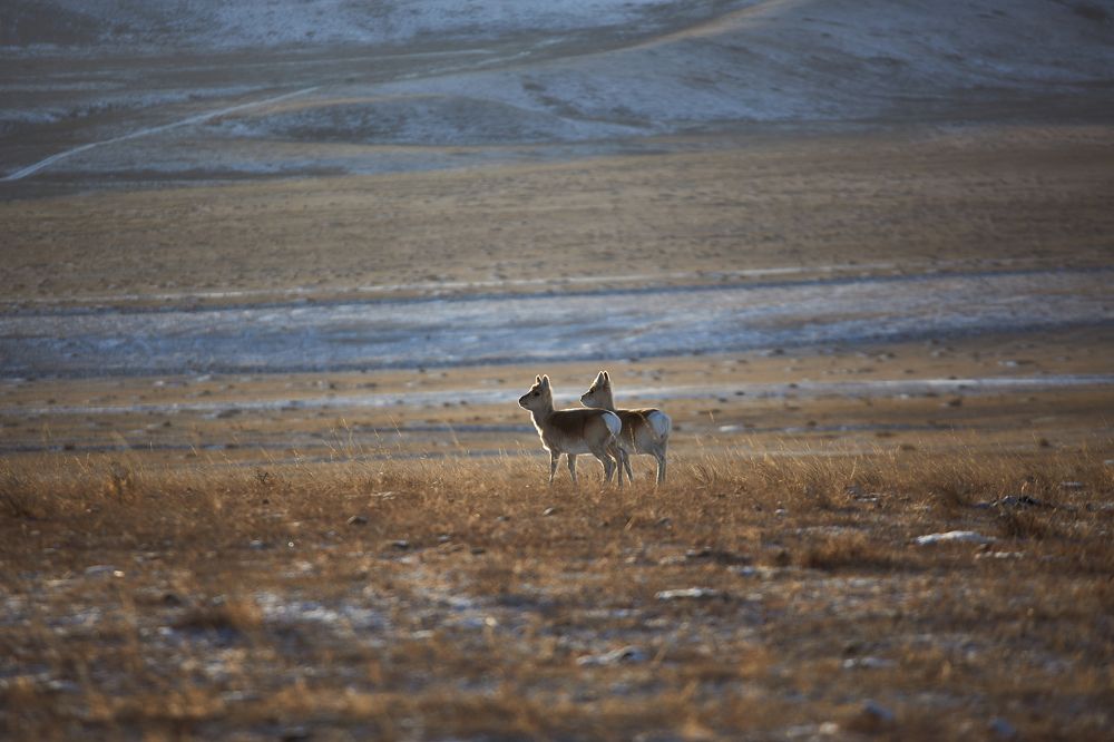 Photograph by Aleksey Maevskiy