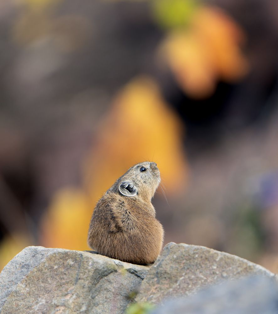 Photograph by Павлов Дмитрий