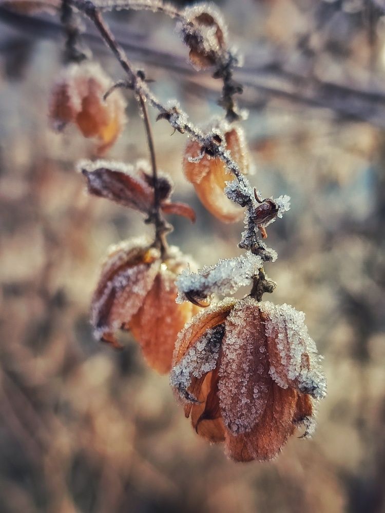 Photograph by ТАТЬЯНА/-+/-я ДОЛГУШЕВА