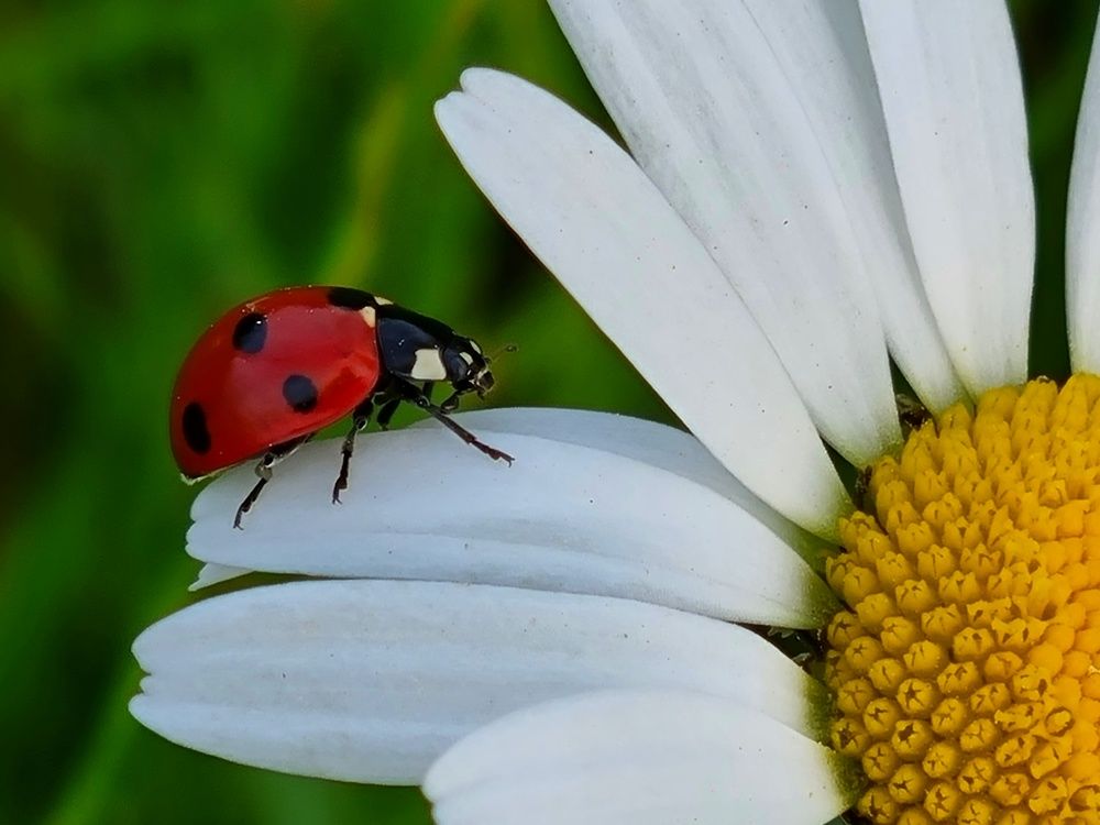 Photograph by Mojca Rebol