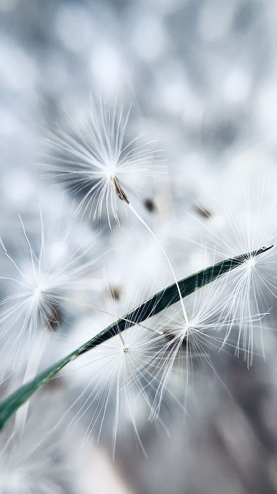 Photograph by Людмила Сиденко