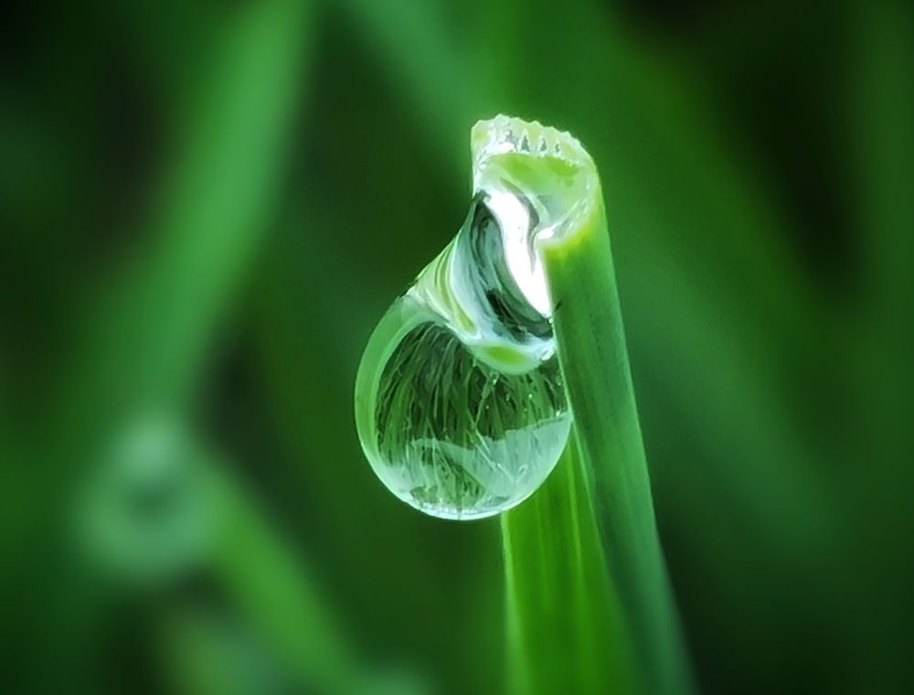 Photograph by Mojca Rebol