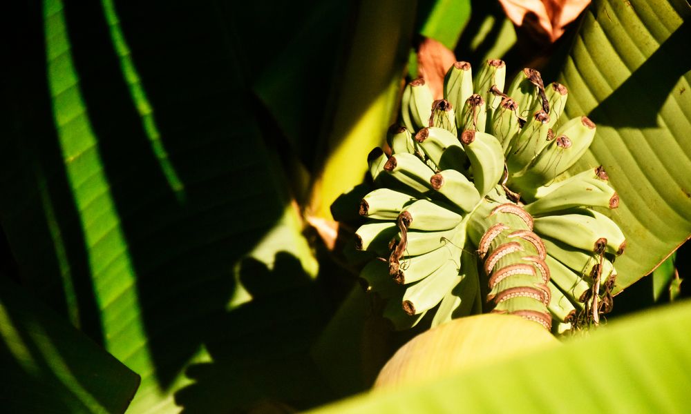 Photograph by Виктория Ткачева