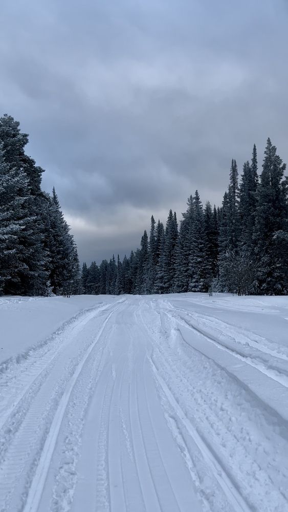 Photograph by Irina Beleva