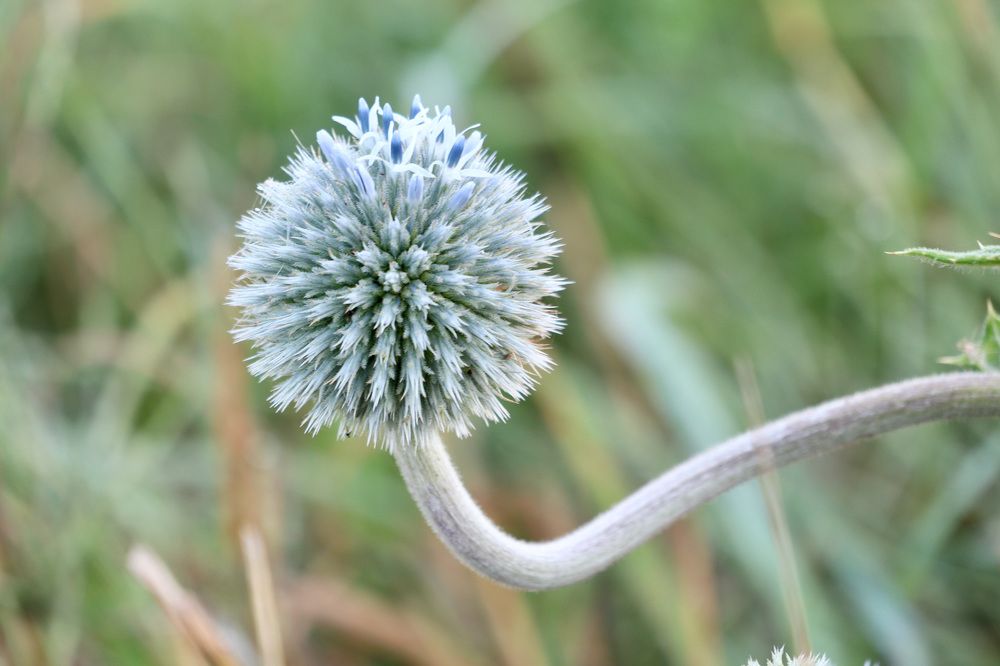 Photograph by Lyudmila Klimanova