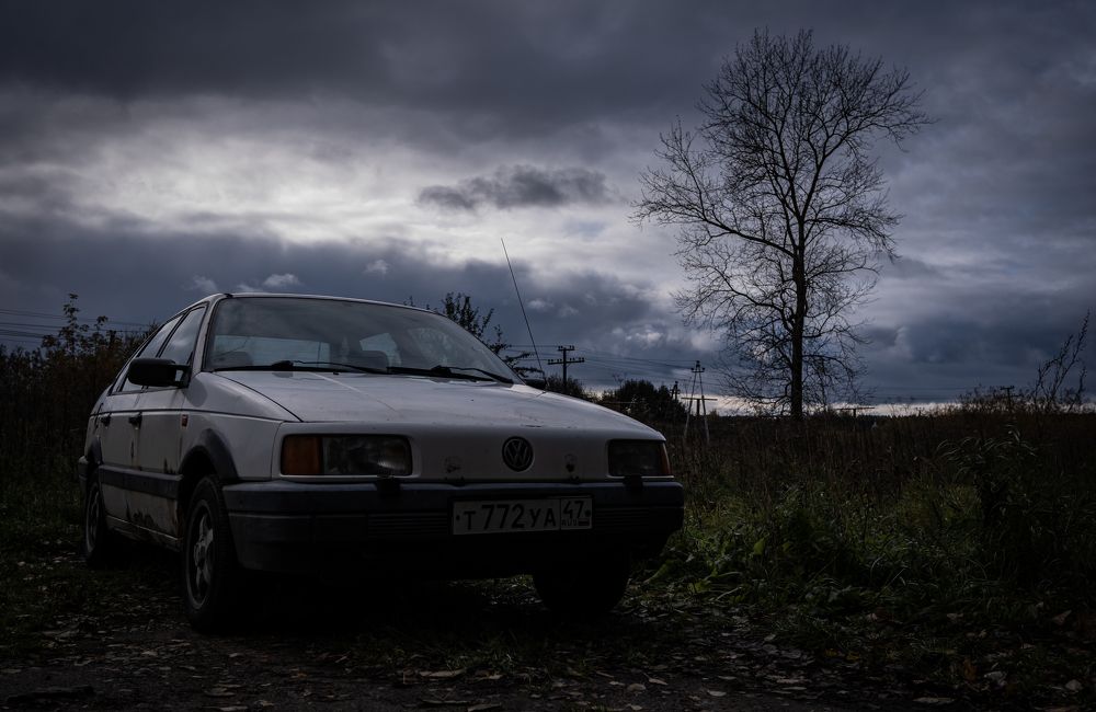 Photograph by Ilyin Evgeny