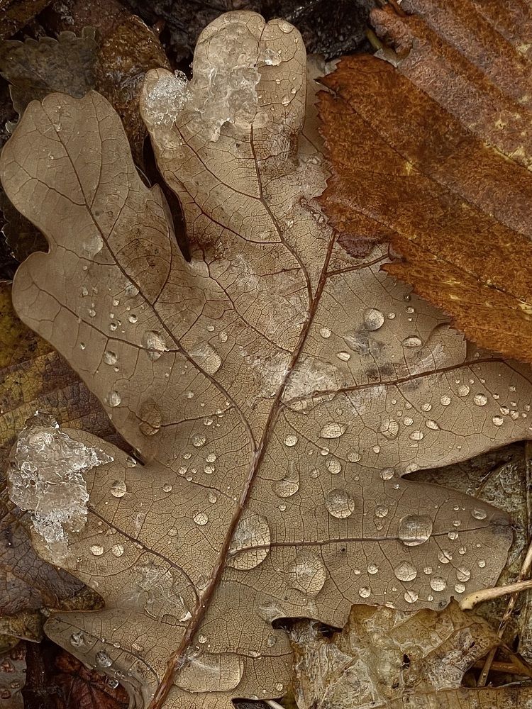 Photograph by Veronika Vilima