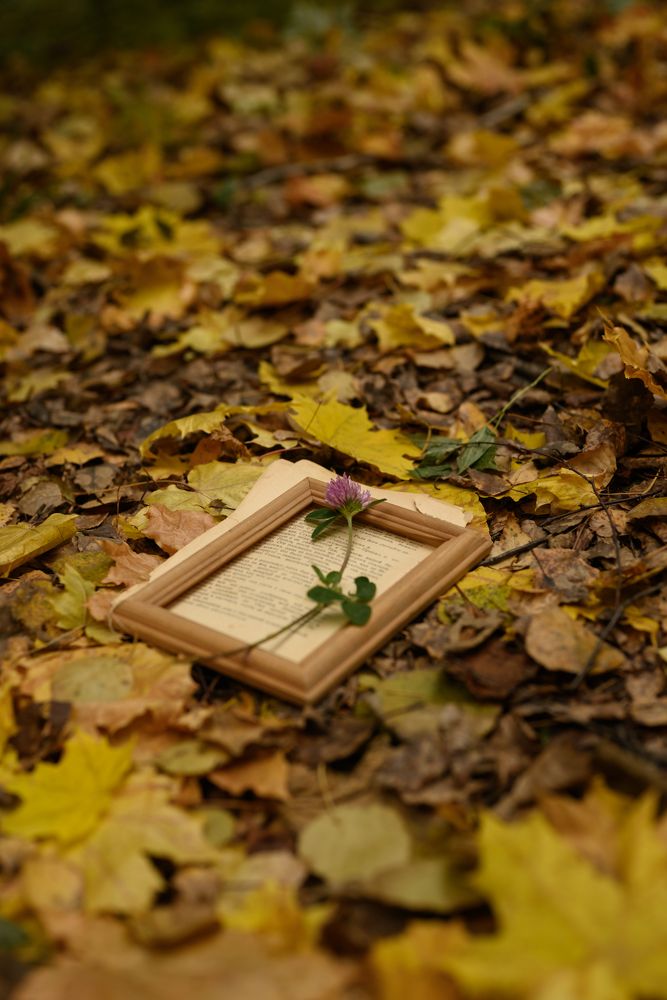 Фотография автора Анна Рыкова