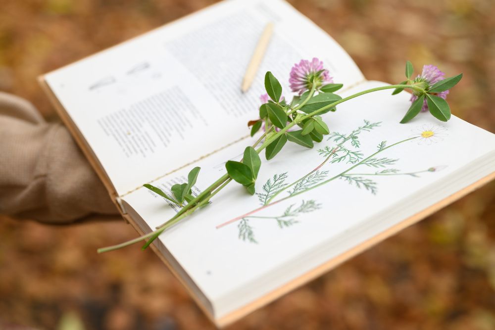 Фотография автора Анна Рыкова