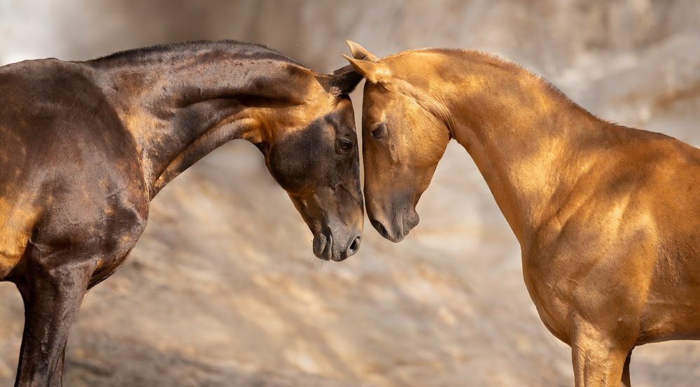 Photograph by Татьяна Немова