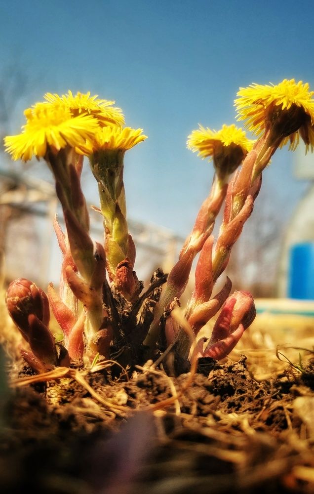 Photograph by Maxim Agafonov