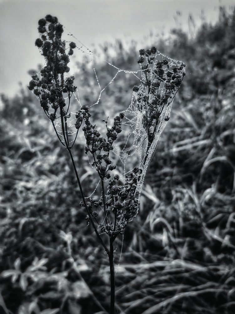 Photograph by Maxim Agafonov