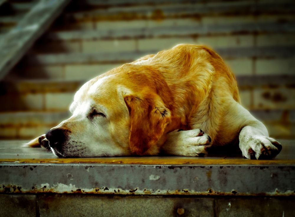 Photograph by Виктория Ткачева