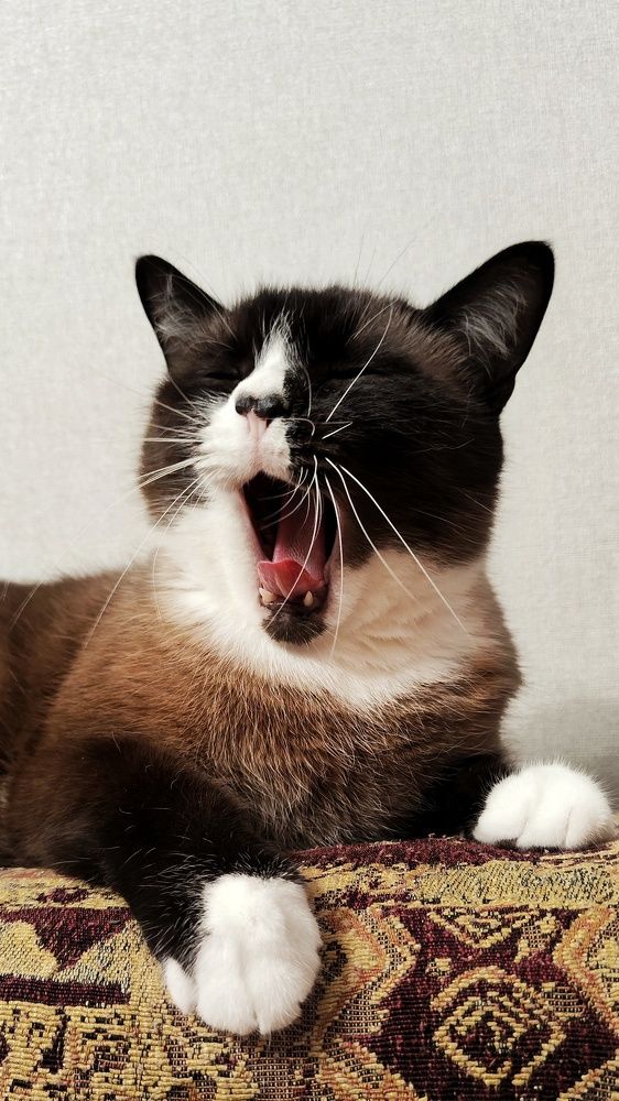 Photograph by Mila Vshivkova