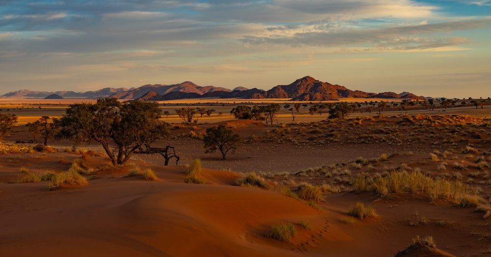 Photograph by Silje Wessel Pettersen