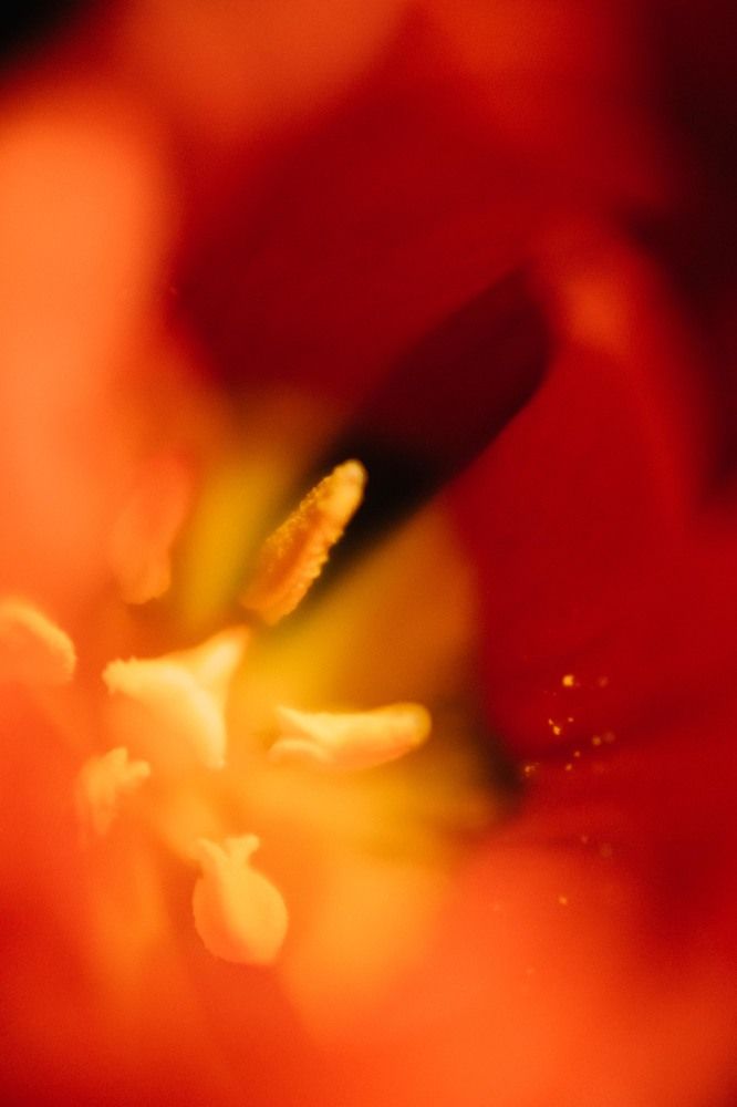Photograph by Элина Авдеева