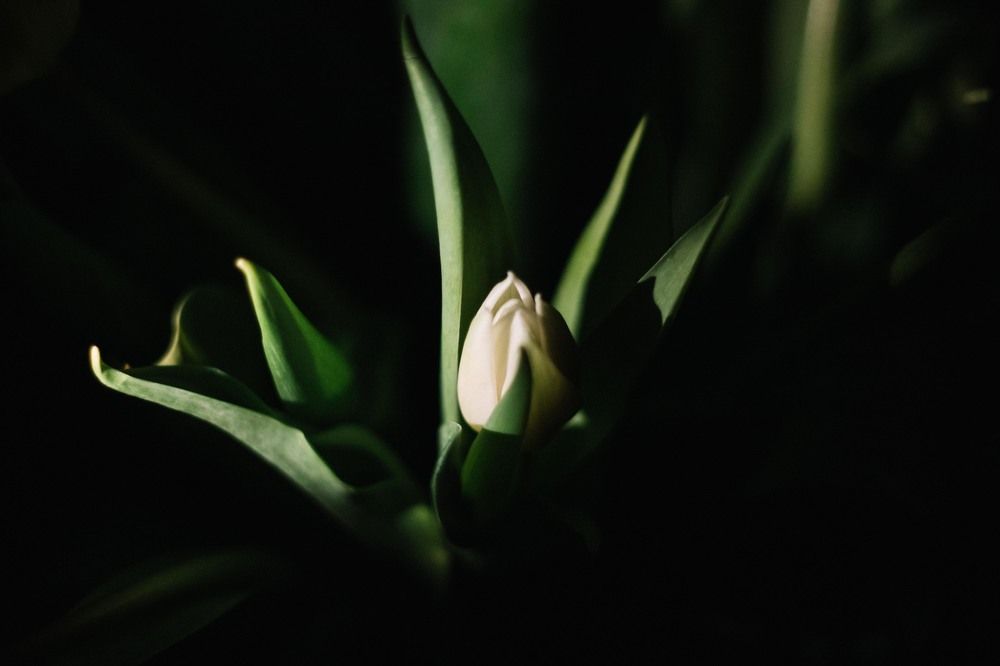 Photograph by Элина Авдеева