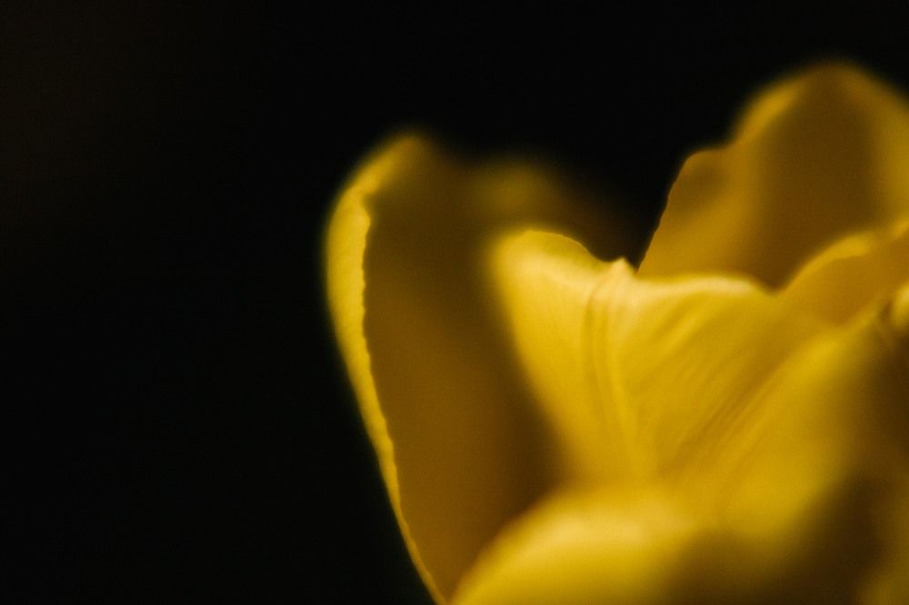 Photograph by Элина Авдеева