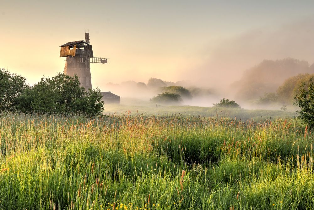 Photograph by Добролюбова Тамара