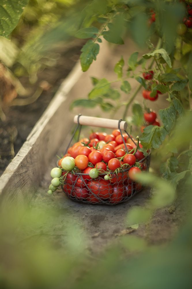 Photograph by Елена Косинова