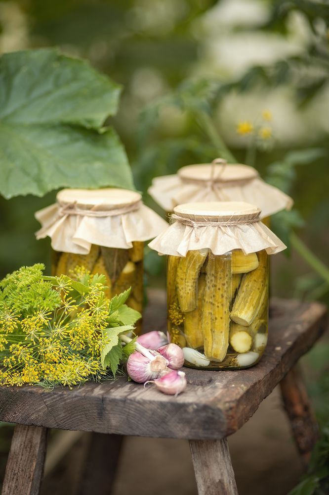 Photograph by Елена Косинова