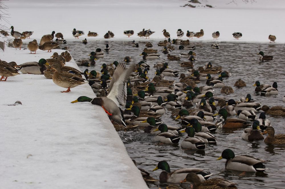 Ещё чуть-чуть!