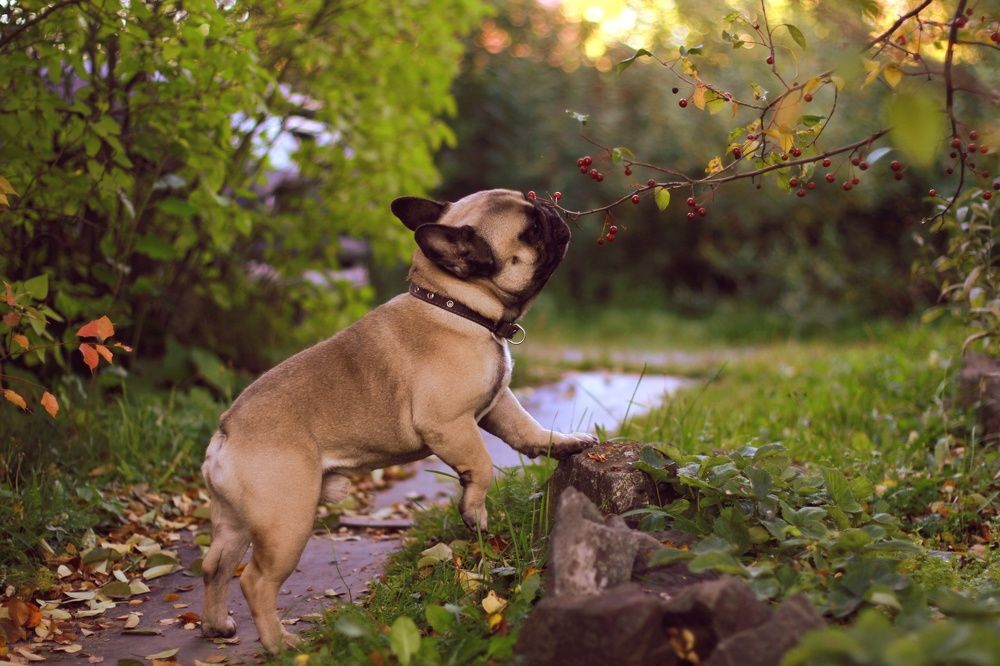 Photograph by Ольга Кочнева