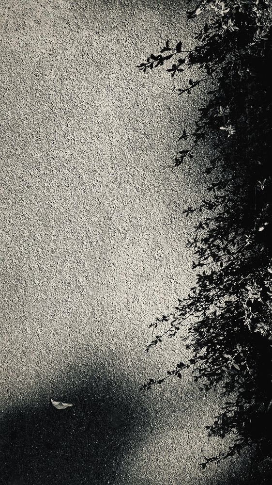 Photograph by Oxana Petlina