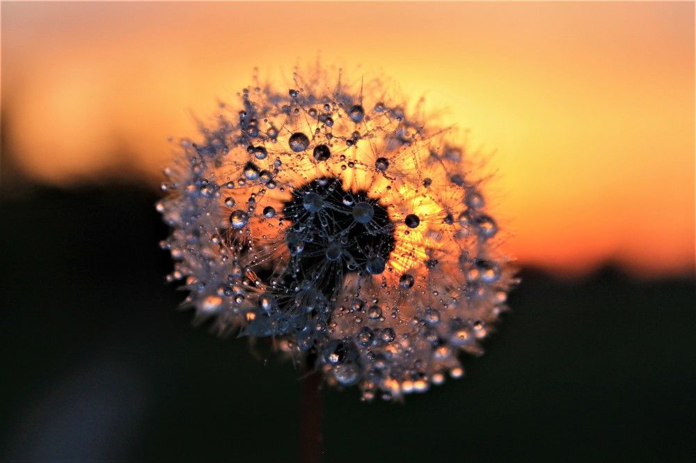 Photograph by ТАТЬЯНА/-+/-я ДОЛГУШЕВА