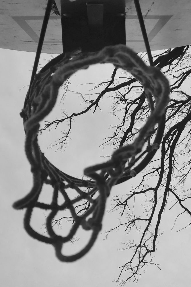 Photograph by Юлия Николаева